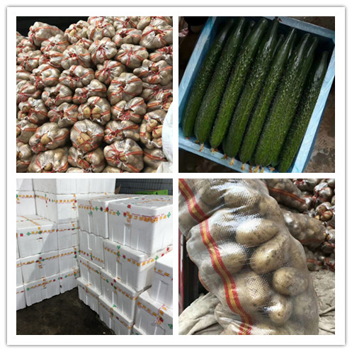 w66.利来(中国区)_来利国际旗舰厅