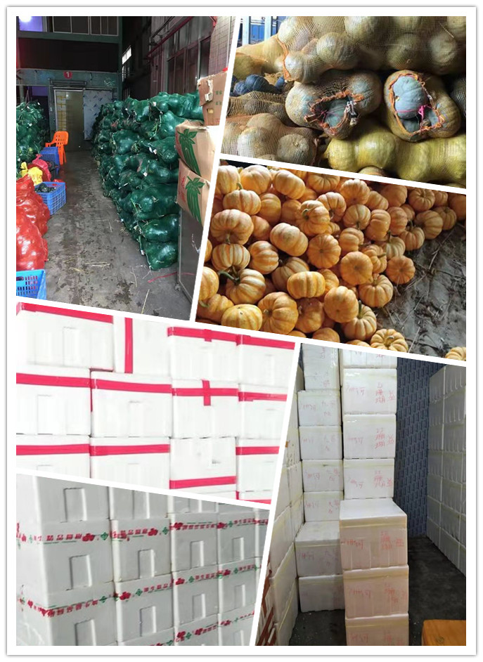 w66.利来(中国区)_来利国际旗舰厅