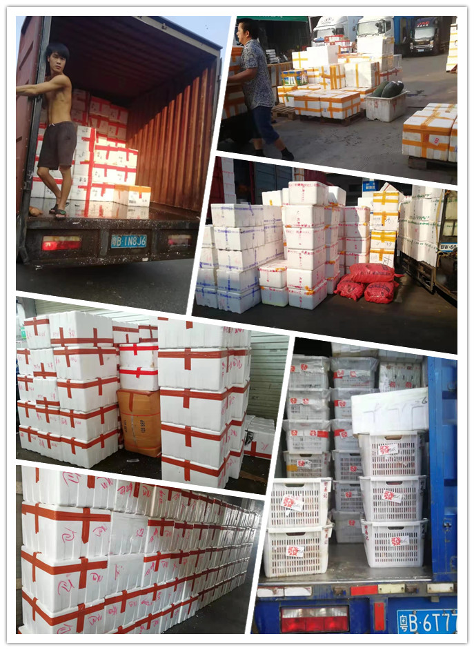 w66.利来(中国区)_来利国际旗舰厅