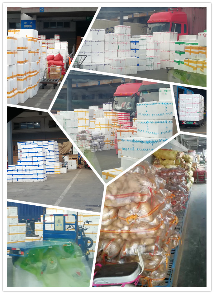 w66.利来(中国区)_来利国际旗舰厅