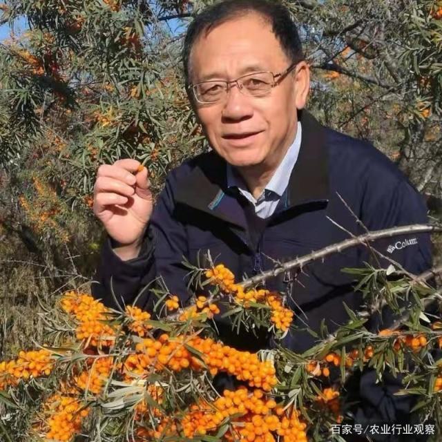 w66.利来(中国区)_来利国际旗舰厅