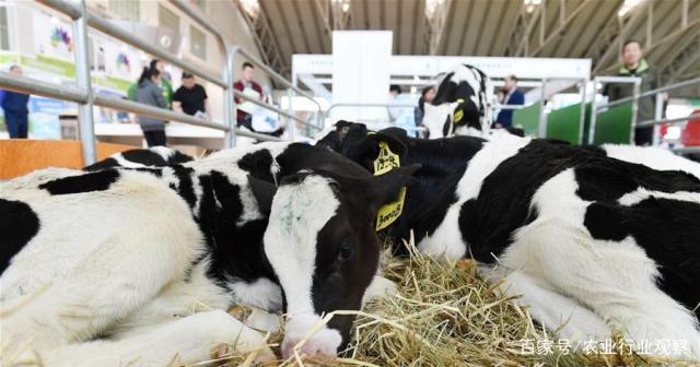 w66.利来(中国区)_来利国际旗舰厅