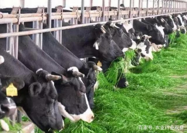 w66.利来(中国区)_来利国际旗舰厅