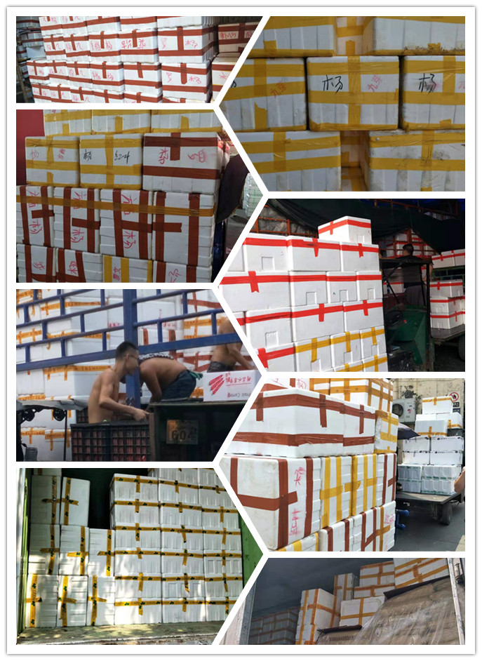 w66.利来(中国区)_来利国际旗舰厅