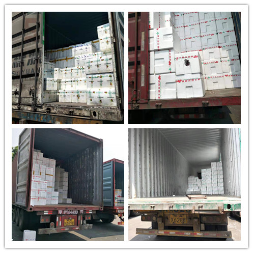 w66.利来(中国区)_来利国际旗舰厅