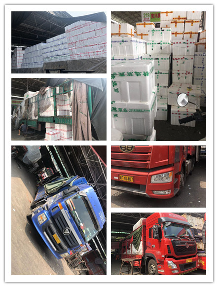 w66.利来(中国区)_来利国际旗舰厅