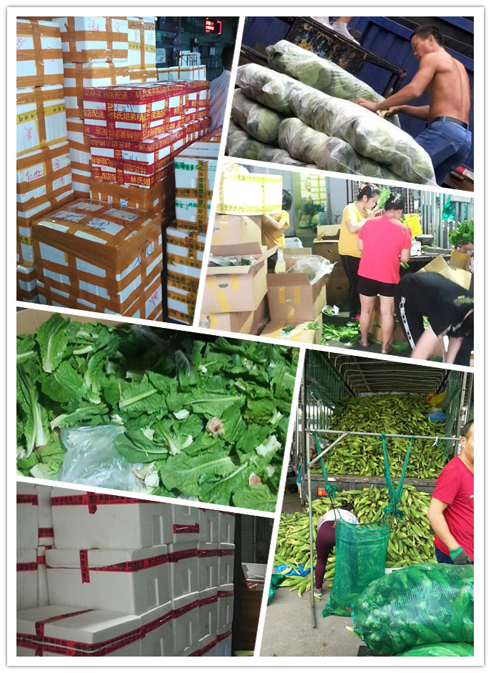 w66.利来(中国区)_来利国际旗舰厅