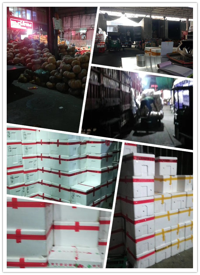 w66.利来(中国区)_来利国际旗舰厅