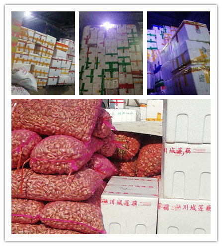 w66.利来(中国区)_来利国际旗舰厅