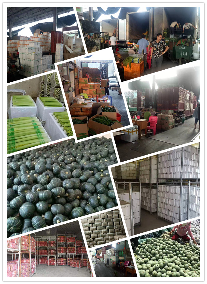 w66.利来(中国区)_来利国际旗舰厅