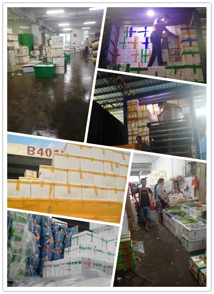 w66.利来(中国区)_来利国际旗舰厅