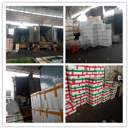 w66.利来(中国区)_来利国际旗舰厅