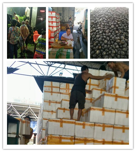 w66.利来(中国区)_来利国际旗舰厅