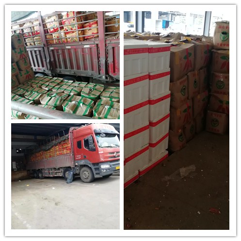 w66.利来(中国区)_来利国际旗舰厅