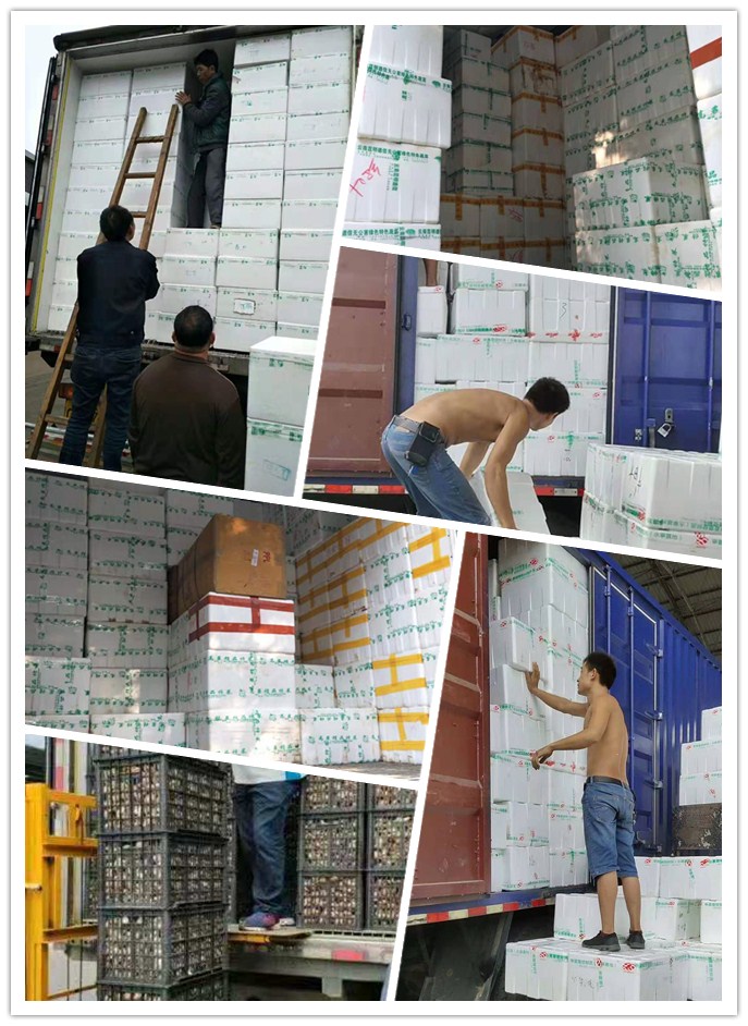 w66.利来(中国区)_来利国际旗舰厅