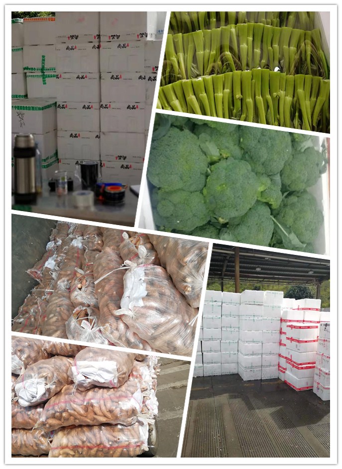 w66.利来(中国区)_来利国际旗舰厅