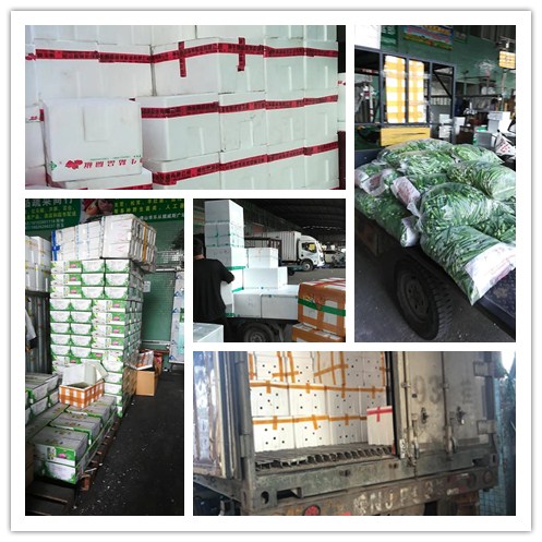 w66.利来(中国区)_来利国际旗舰厅