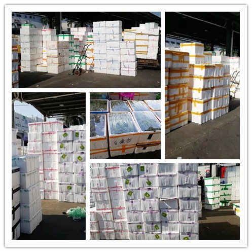 w66.利来(中国区)_来利国际旗舰厅