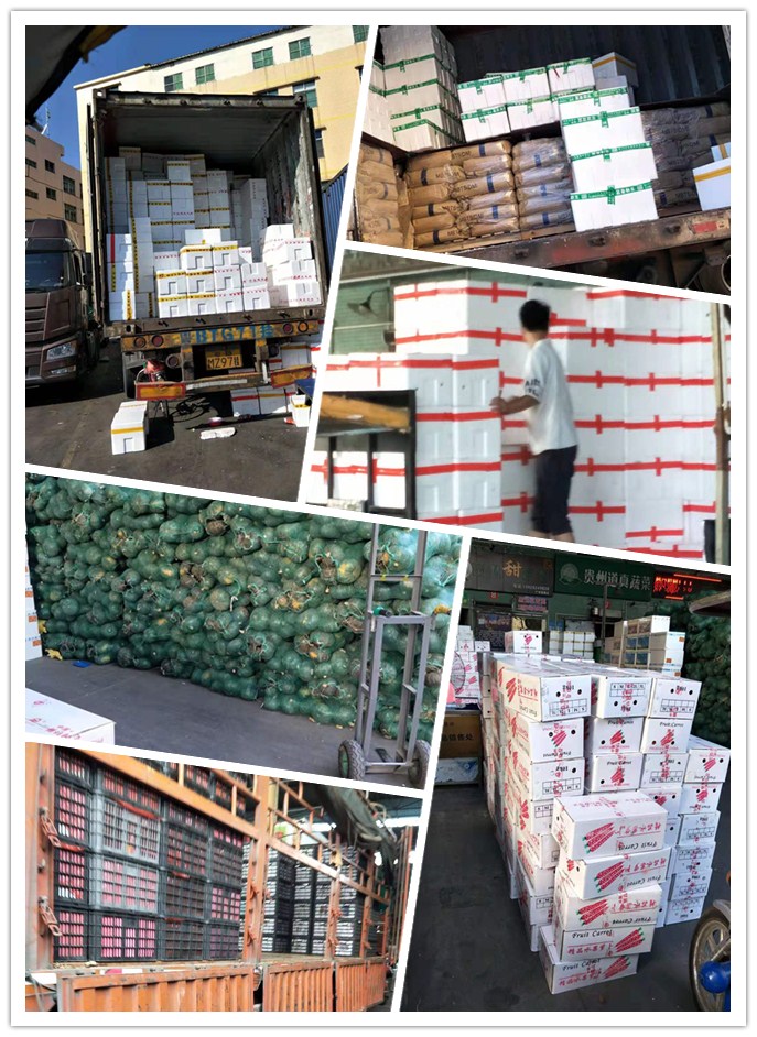 w66.利来(中国区)_来利国际旗舰厅