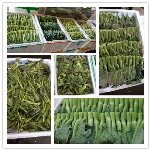 w66.利来(中国区)_来利国际旗舰厅