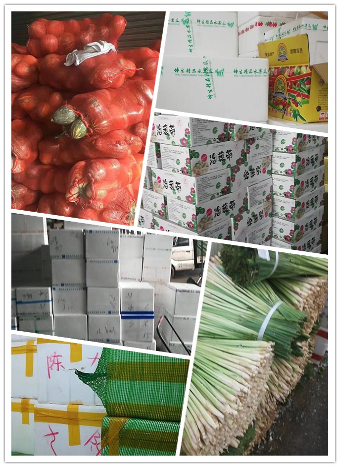 w66.利来(中国区)_来利国际旗舰厅