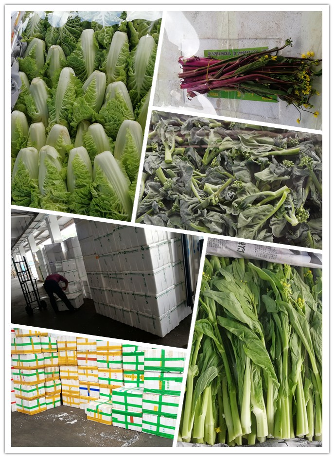 w66.利来(中国区)_来利国际旗舰厅