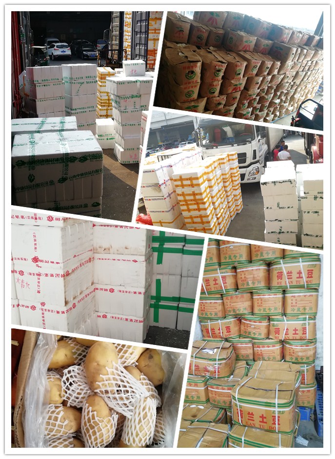 w66.利来(中国区)_来利国际旗舰厅