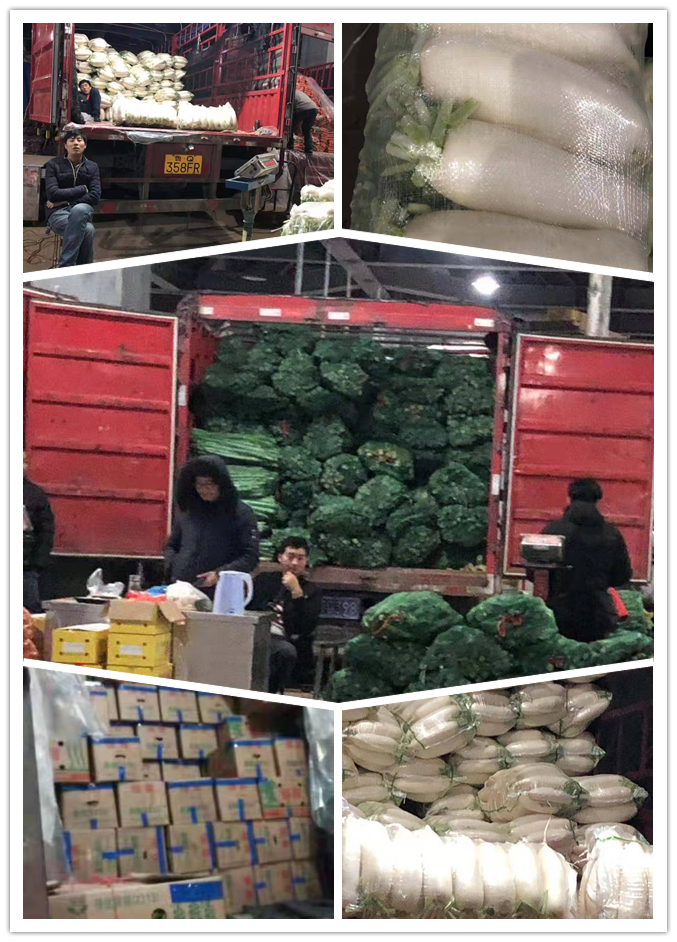 w66.利来(中国区)_来利国际旗舰厅