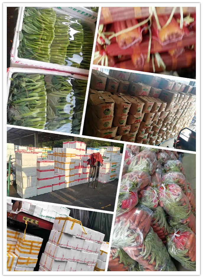 w66.利来(中国区)_来利国际旗舰厅