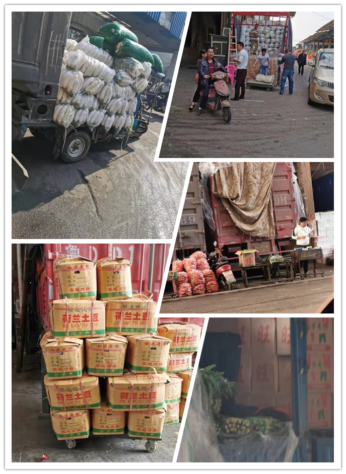 w66.利来(中国区)_来利国际旗舰厅