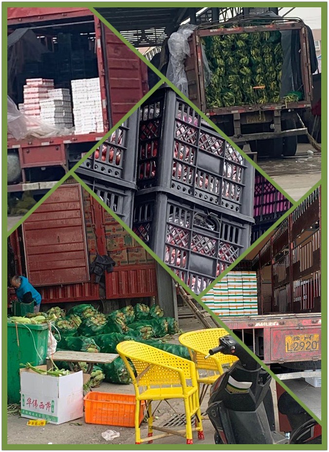 w66.利来(中国区)_来利国际旗舰厅