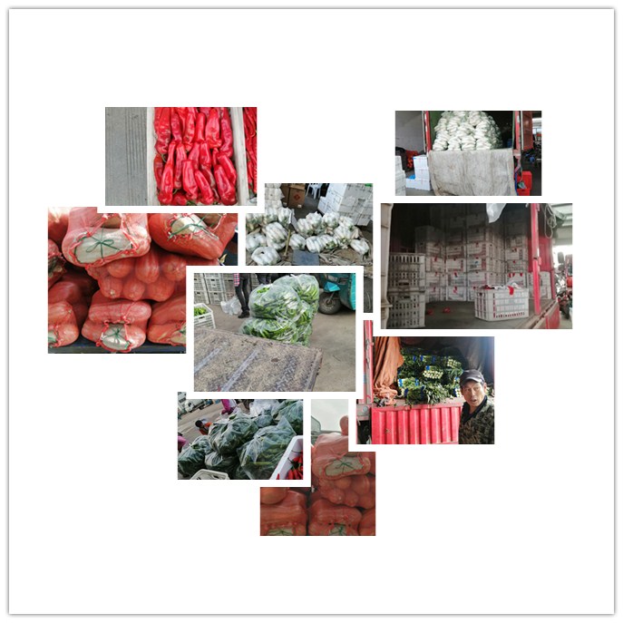 w66.利来(中国区)_来利国际旗舰厅