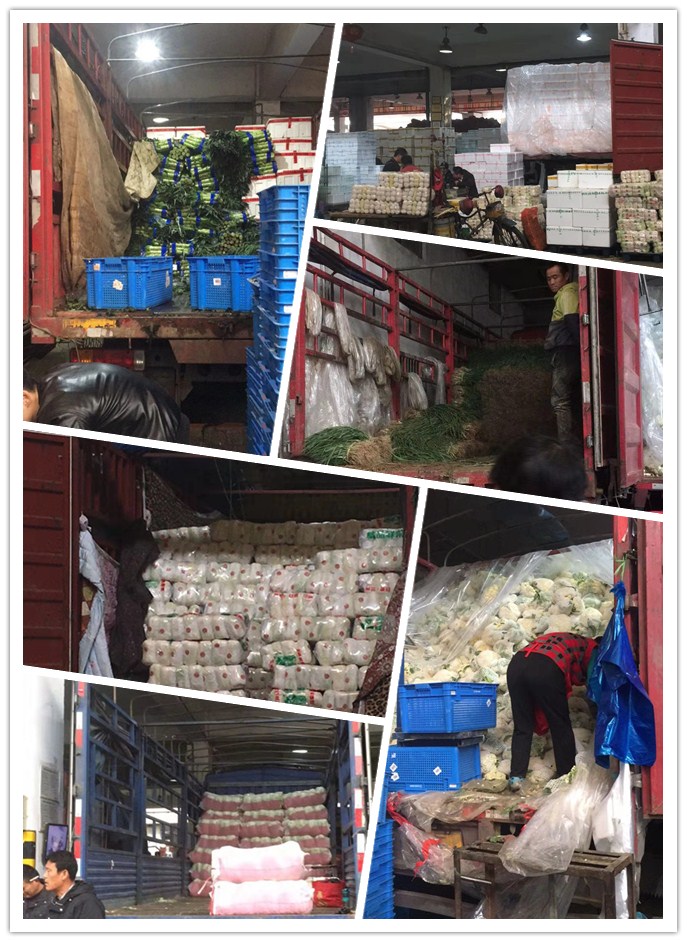 w66.利来(中国区)_来利国际旗舰厅