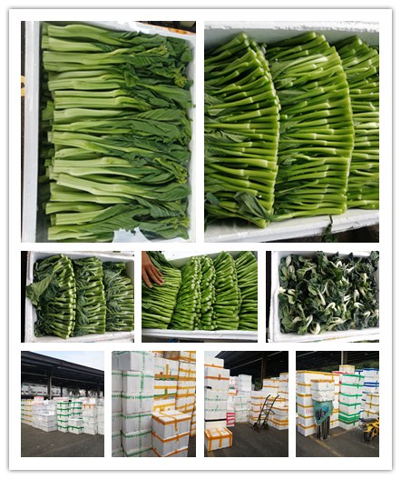 w66.利来(中国区)_来利国际旗舰厅