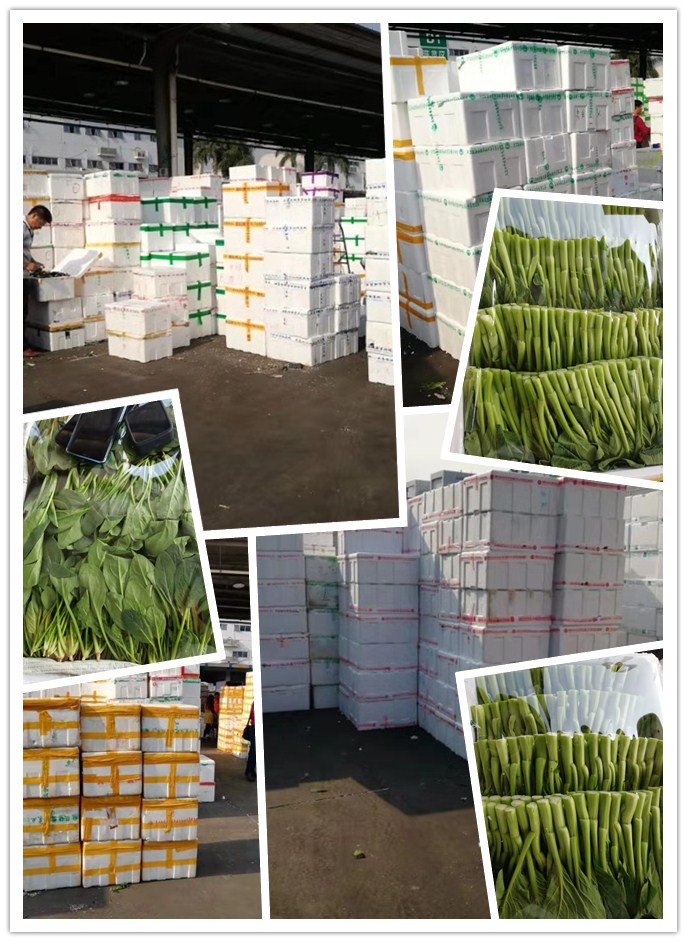 w66.利来(中国区)_来利国际旗舰厅