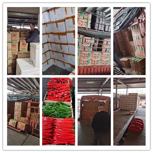 w66.利来(中国区)_来利国际旗舰厅