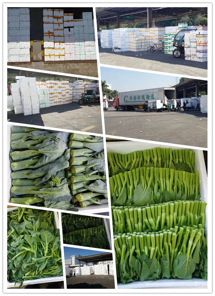 w66.利来(中国区)_来利国际旗舰厅