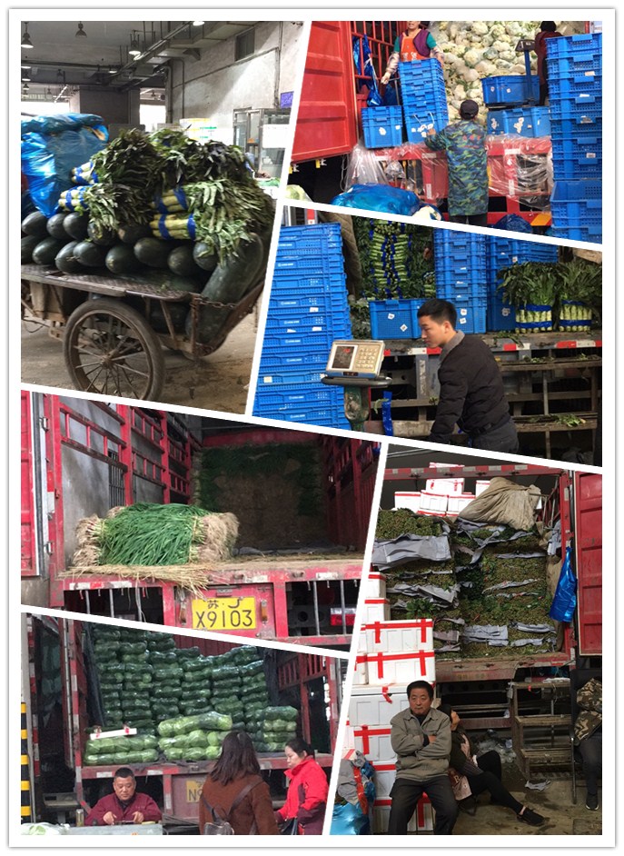 w66.利来(中国区)_来利国际旗舰厅