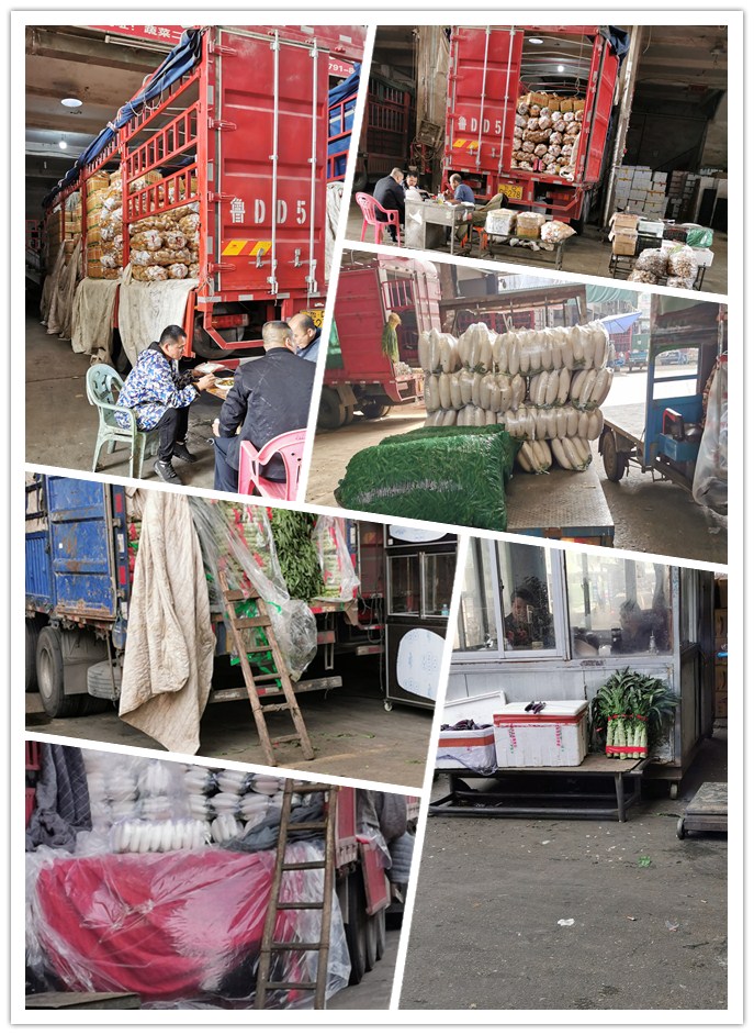 w66.利来(中国区)_来利国际旗舰厅