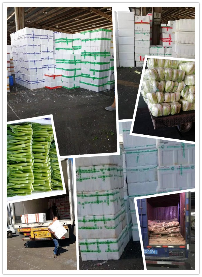 w66.利来(中国区)_来利国际旗舰厅