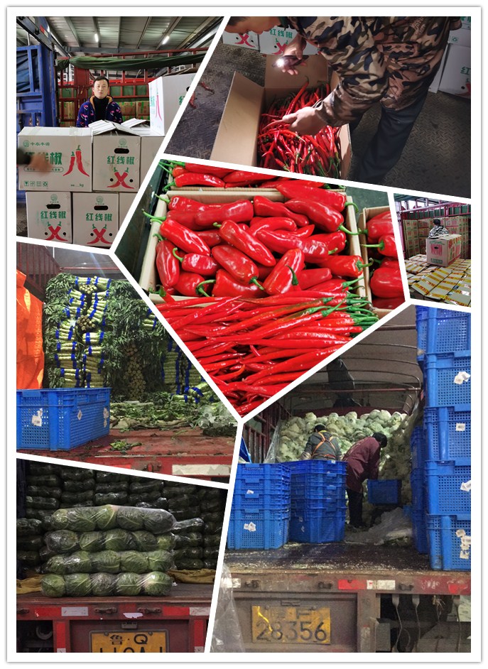 w66.利来(中国区)_来利国际旗舰厅