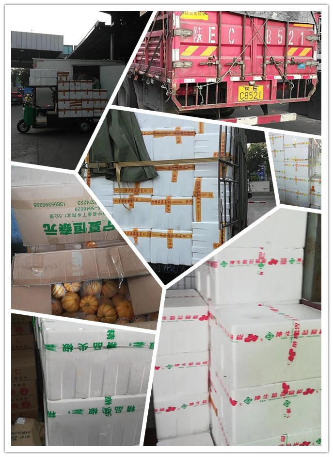 w66.利来(中国区)_来利国际旗舰厅