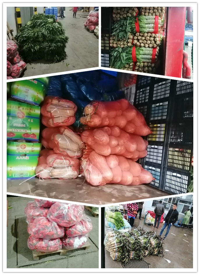 w66.利来(中国区)_来利国际旗舰厅