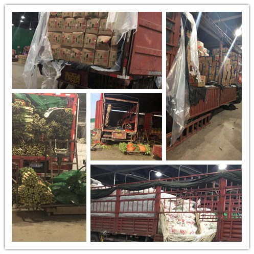 w66.利来(中国区)_来利国际旗舰厅