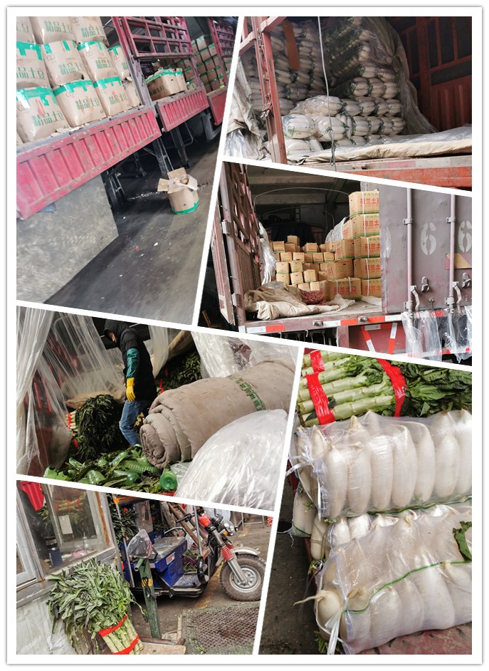 w66.利来(中国区)_来利国际旗舰厅