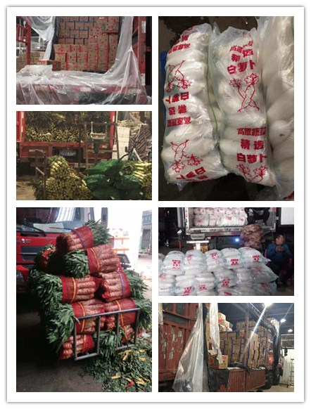 w66.利来(中国区)_来利国际旗舰厅