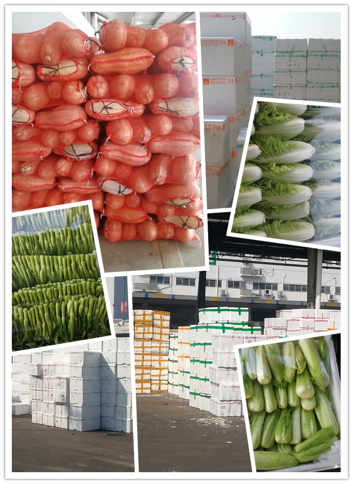 w66.利来(中国区)_来利国际旗舰厅