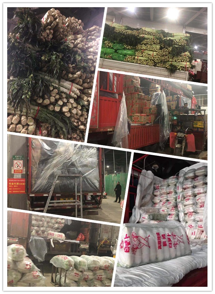 w66.利来(中国区)_来利国际旗舰厅