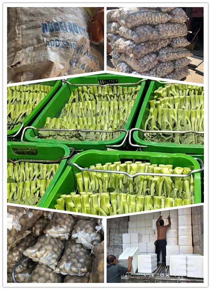 w66.利来(中国区)_来利国际旗舰厅