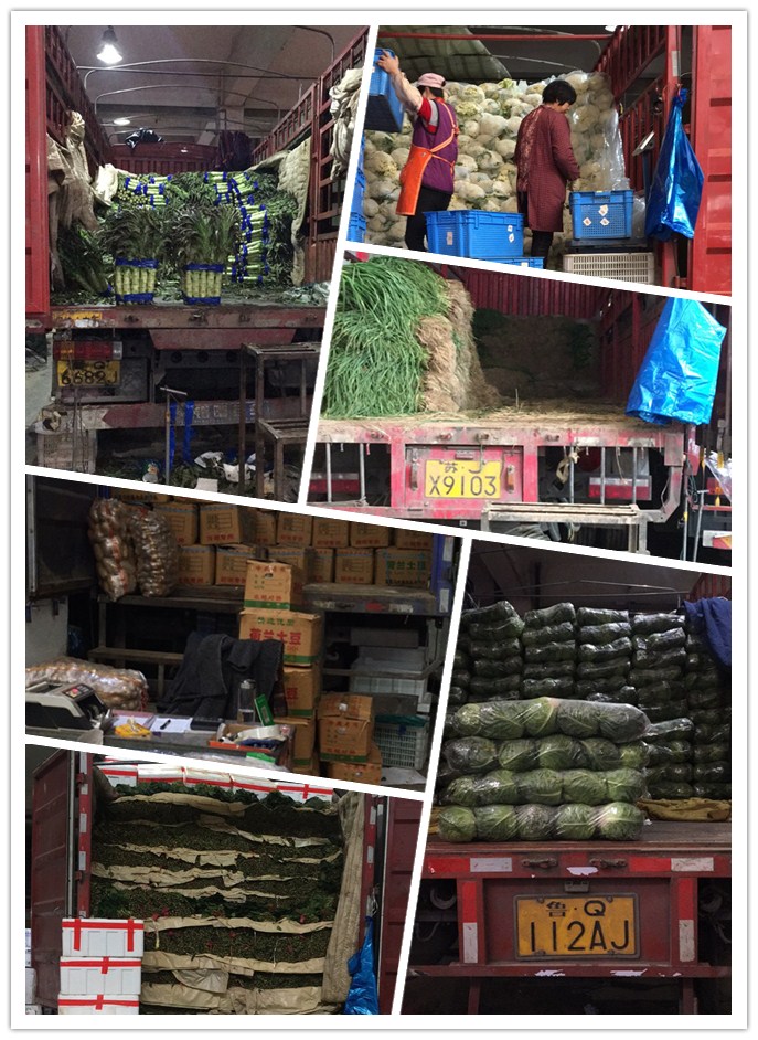 w66.利来(中国区)_来利国际旗舰厅